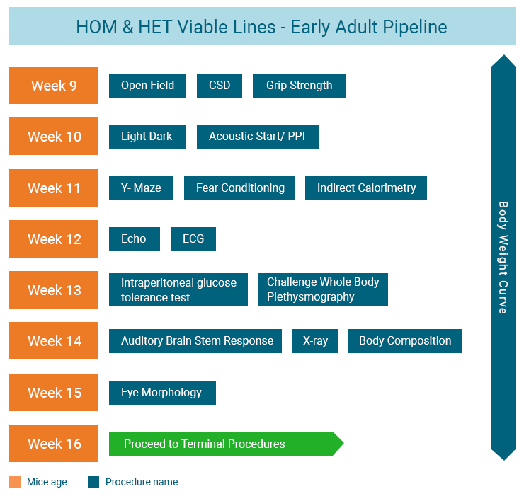 IMPC Early Adult Pipeline infographic displays procedures HOM & HET viable lines mice go through